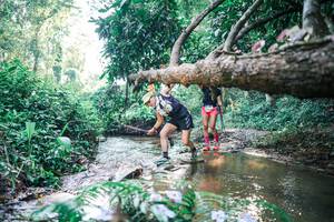 BIB: 
                            <button type="button" onclick="openModal(25436205)" class="btn btn-primary btn-sm float-right btn-popup" data-toggle="modal" data-target=".modal-high-quality">
                        <i class="fas fa-shopping-cart"></i> Add to Cart
                    </button>
                                            <button type="button" onclick="isThisMe(25436205, true)" class="btn btn-success btn-sm float-right btn-popup btn-isme hidden" data-toggle="tooltip" data-placement="bottom" title="นี่คือรูปของคุณใช่ไหม คลิกที่นี่เพื่อเอาเข้าอัลบั้ม">
                        <i class="fas fa-plus"></i> Add to album
                    </button>
                    <button type="button" onclick="isThisMe(25436205, false)" class="btn btn-warning btn-sm float-right btn-popup btn-isnotme hidden">
                        <i class="fas fa-ban"></i> Remove from album
                    </button>